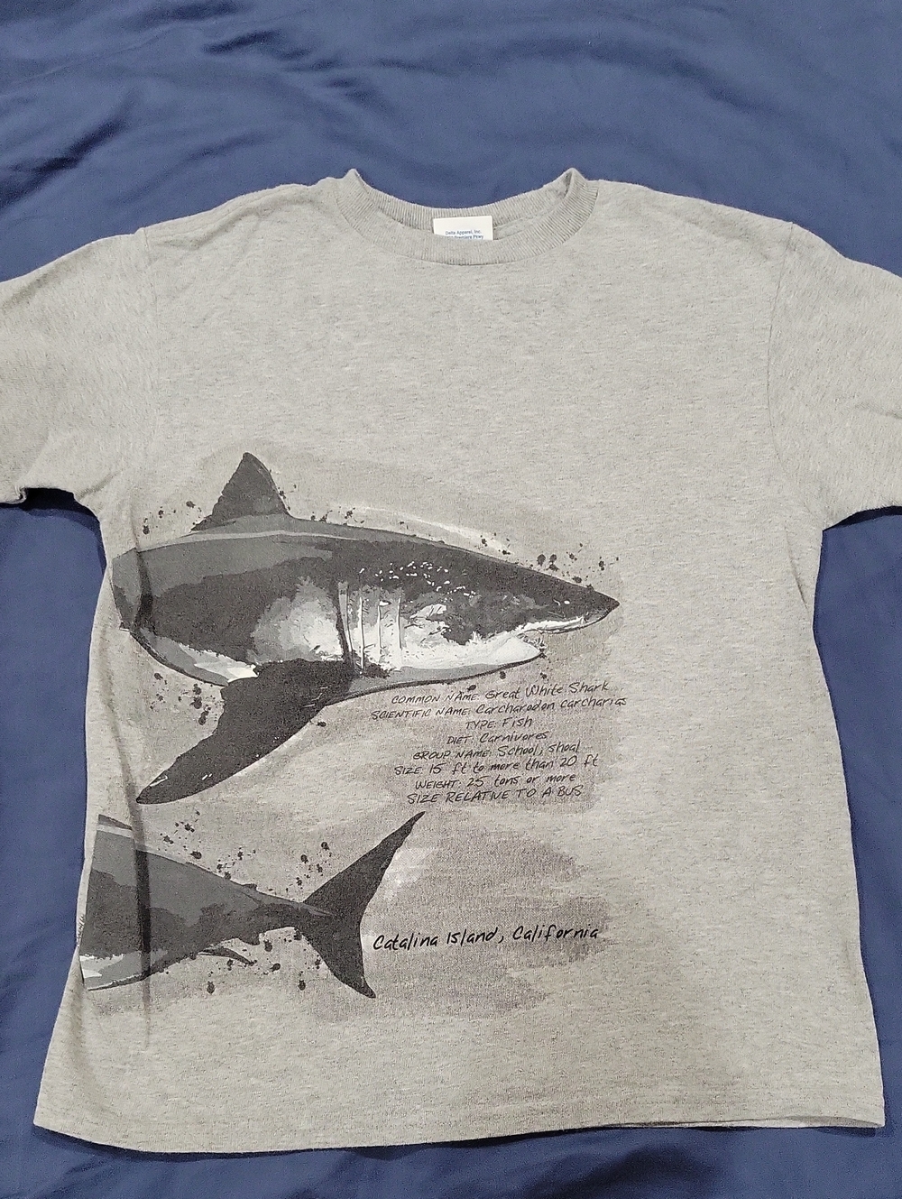 Catalina Island Shark Graphic T-Shirt - Gray